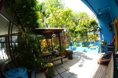 Katil Travellers Palm *
